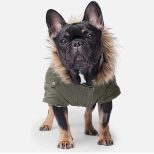Canada Pooch Alaskan Army Parka In Army Green, 10